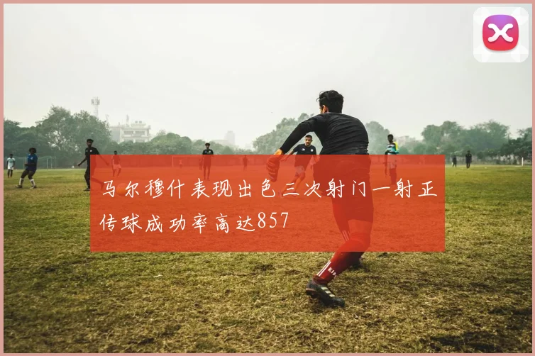 马尔穆什表现出色三次射门一射正传球成功率高达857